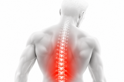 Lumbar Pro